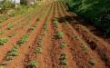 Finca en La Matanza de Acentejo 